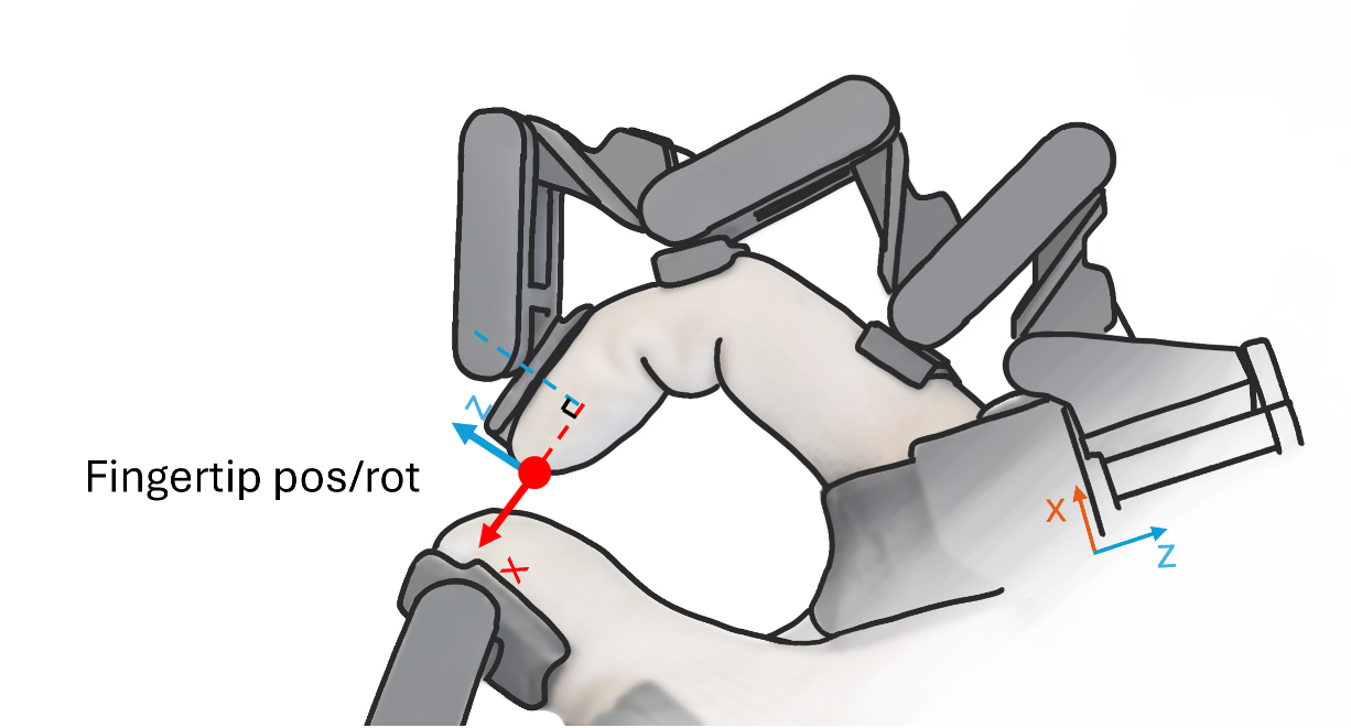Fingertip and rotation
